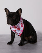 Cooling Bandana