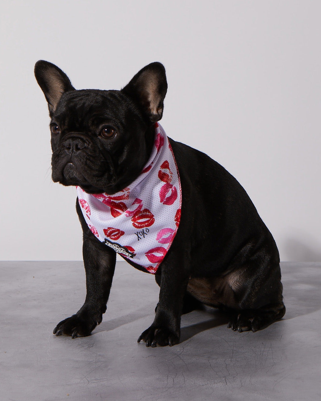 Cooling Bandana