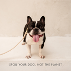 LEATHER DOG COLLAR - AIR TAG HOLDER