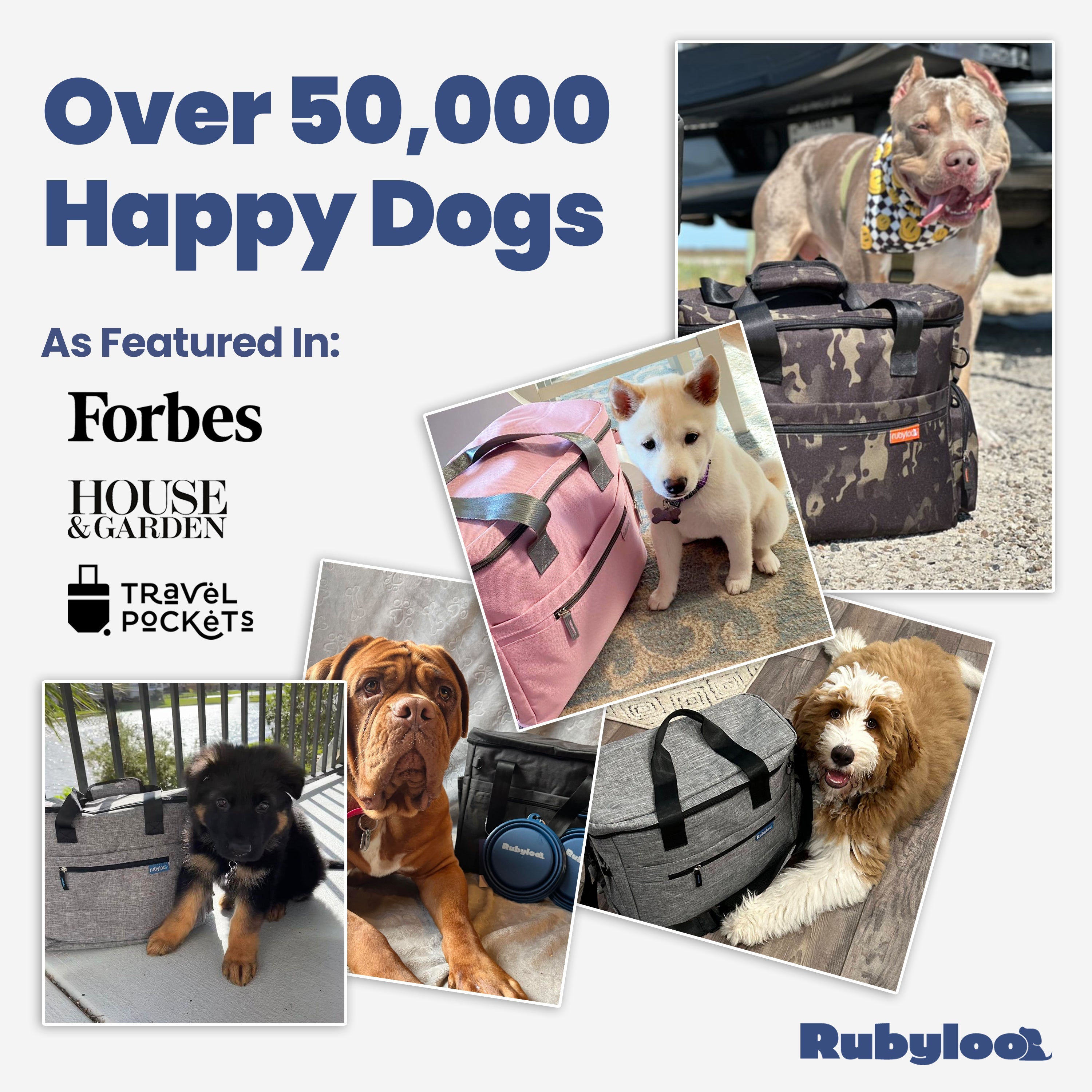 The Original Doggy Bag
