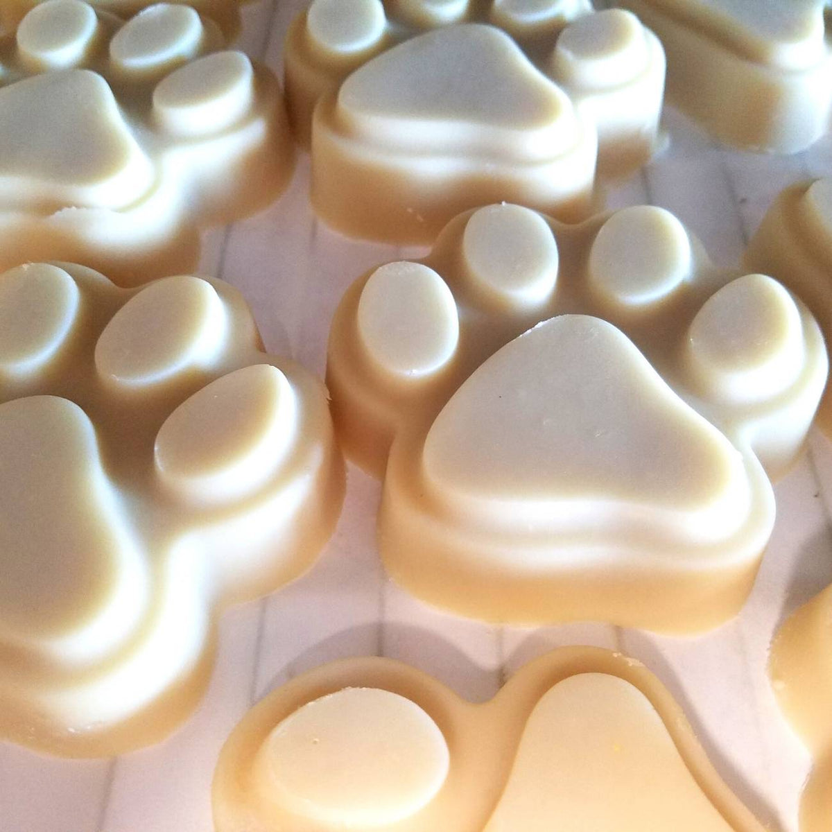 Dog Shampoo Bar - Big Paw