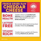 Cheddar Cheese Dog Treats - Freeze Dried - Single Ingredient