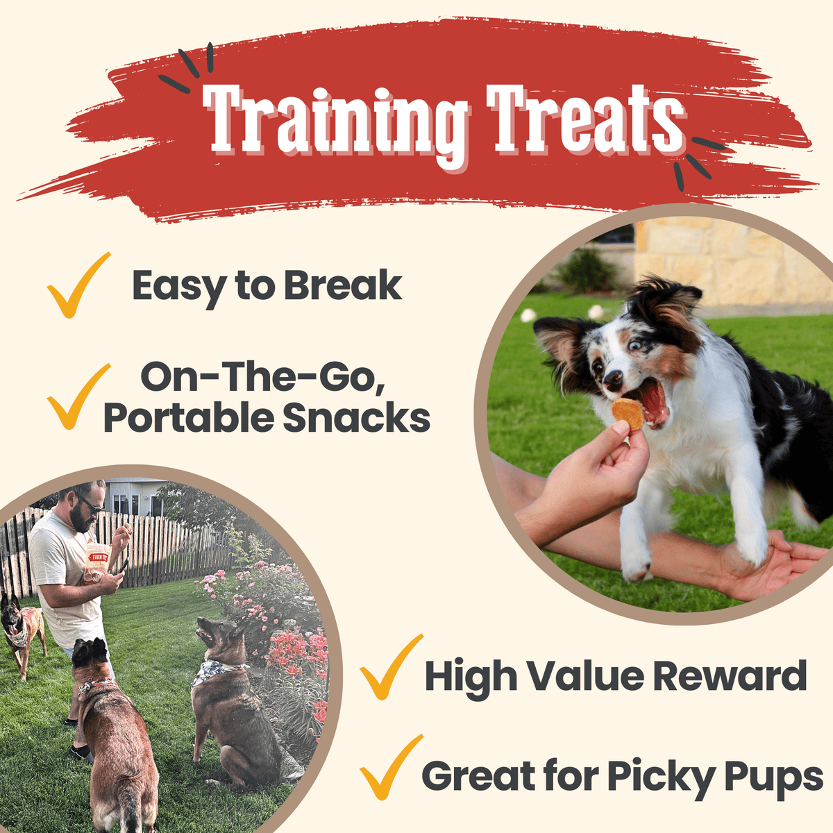 Chicken Chips for Dogs All-Natural Single-Ingredient Dog Treats