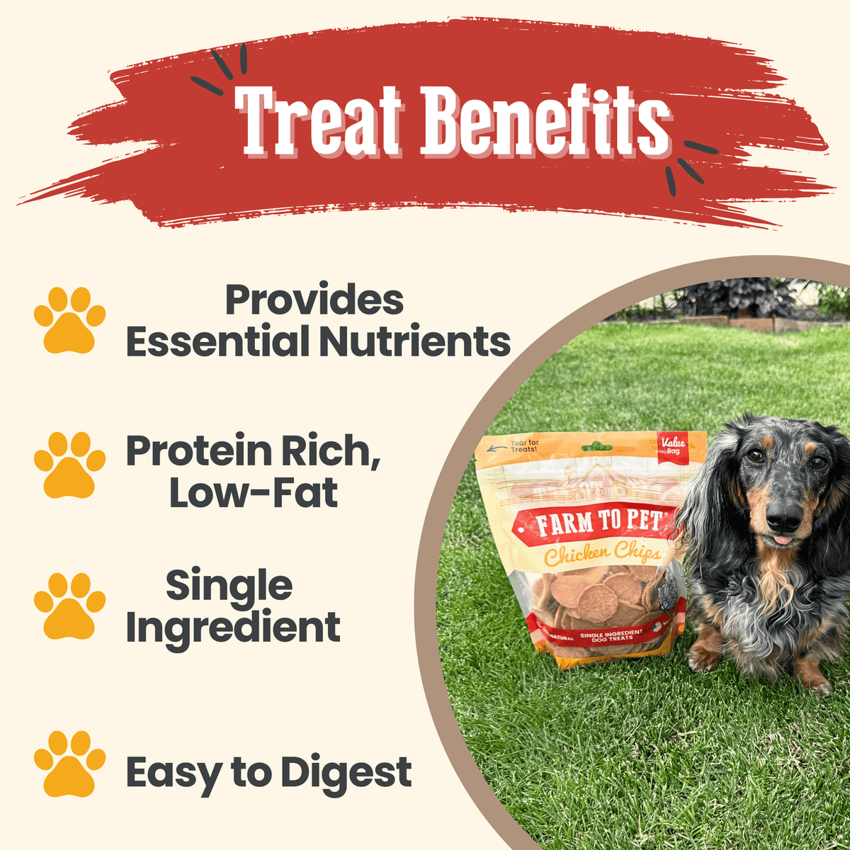 Chicken Chips for Dogs All-Natural Single-Ingredient Dog Treats
