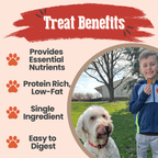 Turkey Chips for Dogs All-Natural Single-Ingredient Healthy Dog Treats