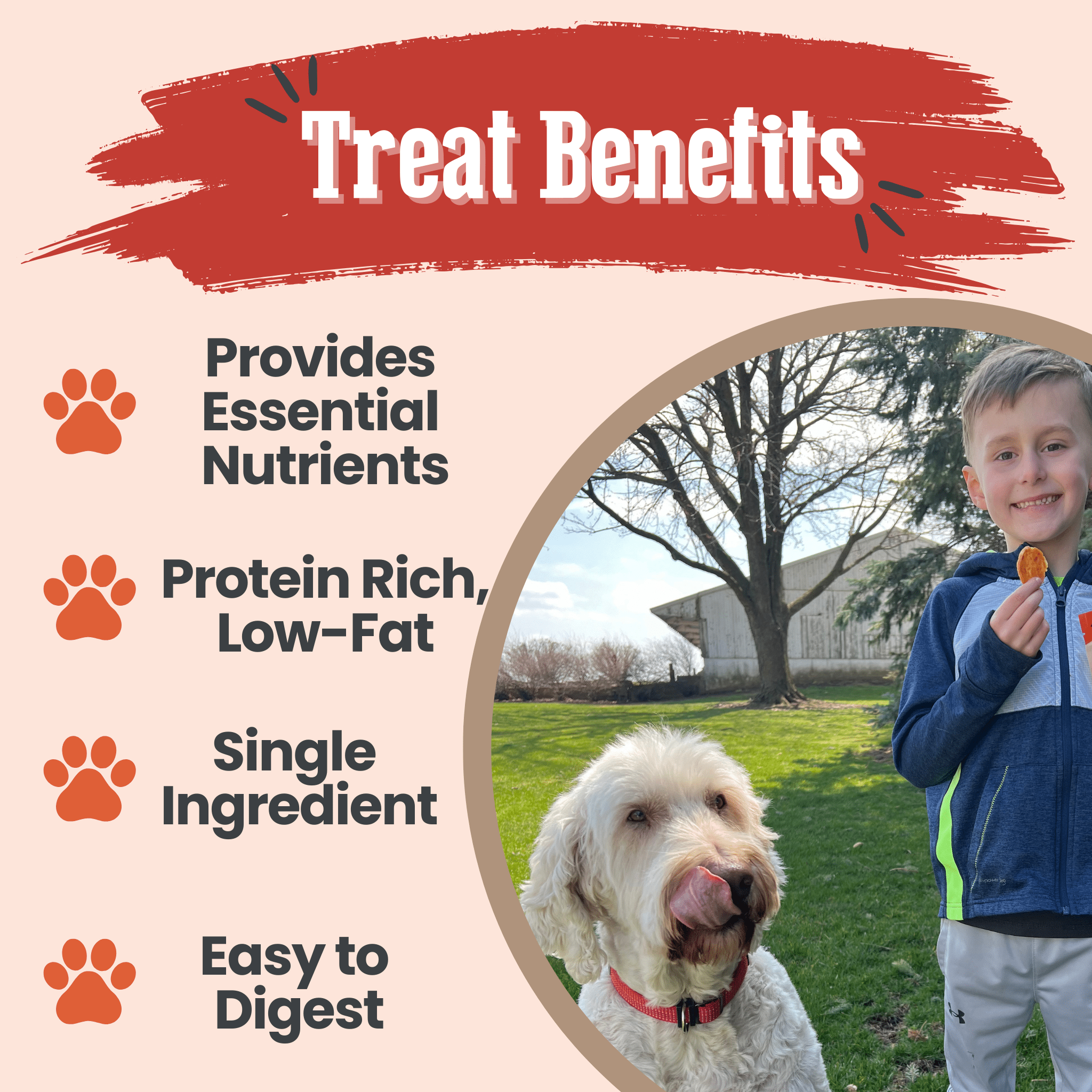 Turkey Chips for Dogs All-Natural Single-Ingredient Healthy Dog Treats