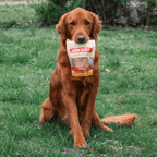 Chicken Chips for Dogs All-Natural Single-Ingredient Dog Treats