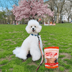 Turkey Chips for Dogs All-Natural Single-Ingredient Healthy Dog Treats