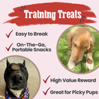Beef Chips Dog Treats Single-Ingredient Healthy Treats for Dogs