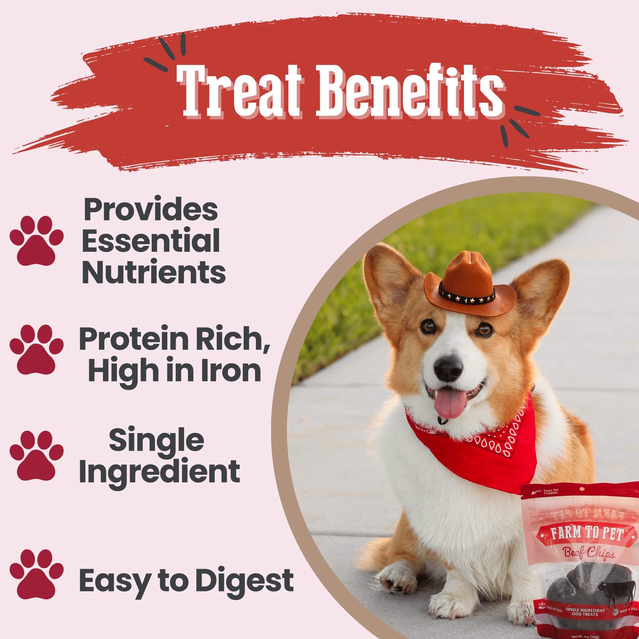 Beef Chips Dog Treats Single-Ingredient Healthy Treats for Dogs