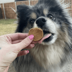 Fish Chips for Dogs Wild-Caught Fish Dog Treats