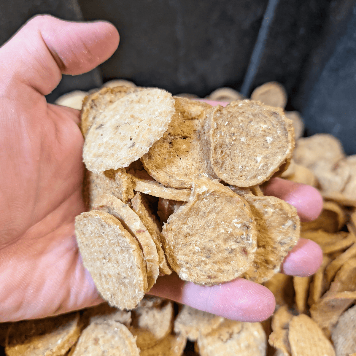 Fish Chips for Dogs Wild-Caught Fish Dog Treats