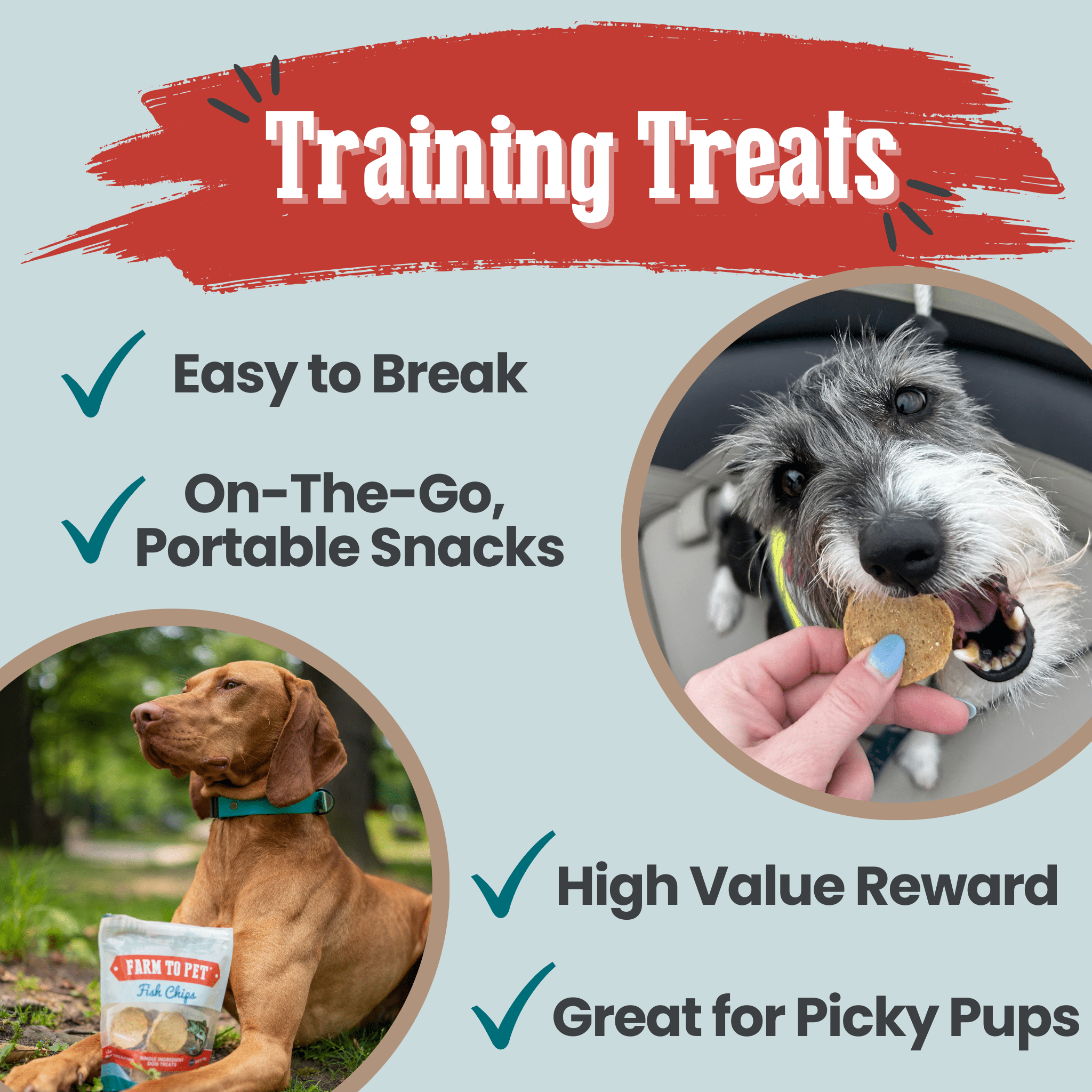 Fish Chips for Dogs Wild-Caught Fish Dog Treats