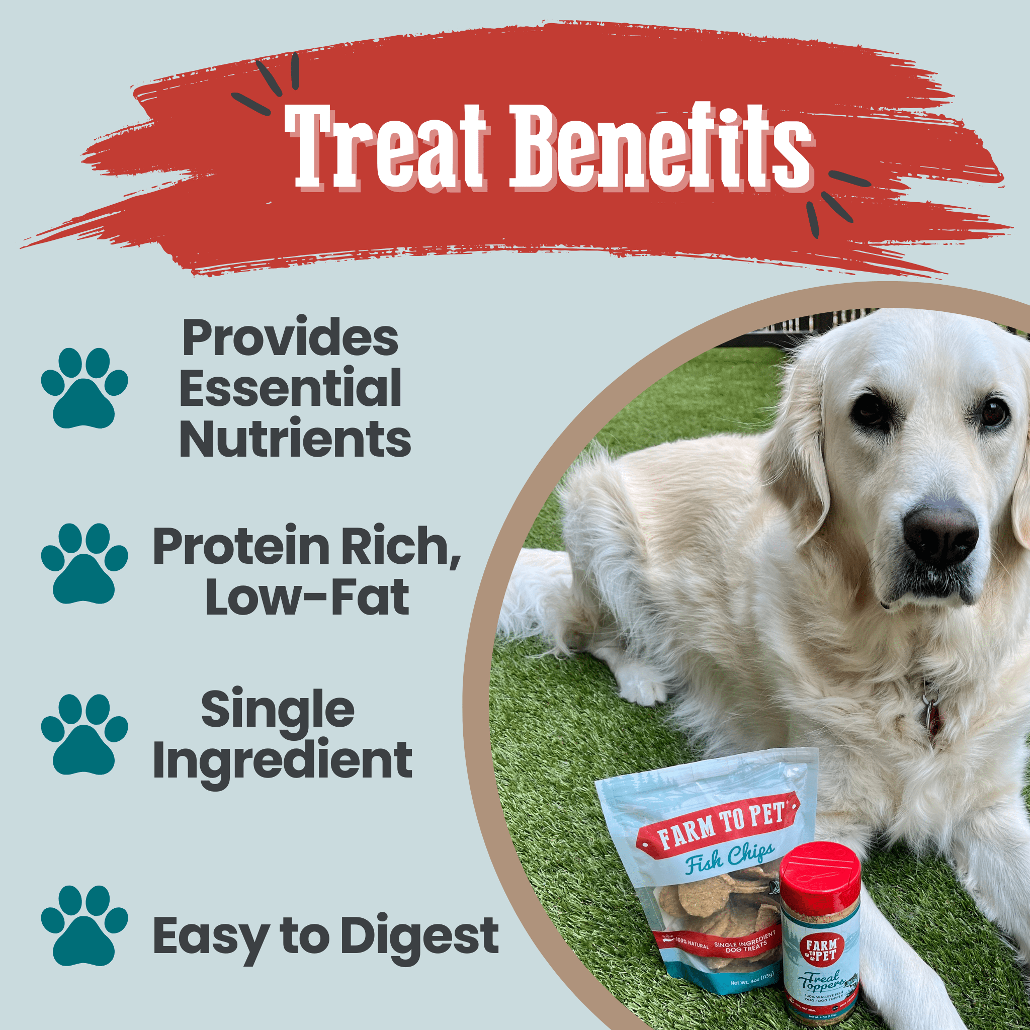 Fish Chips for Dogs Wild-Caught Fish Dog Treats