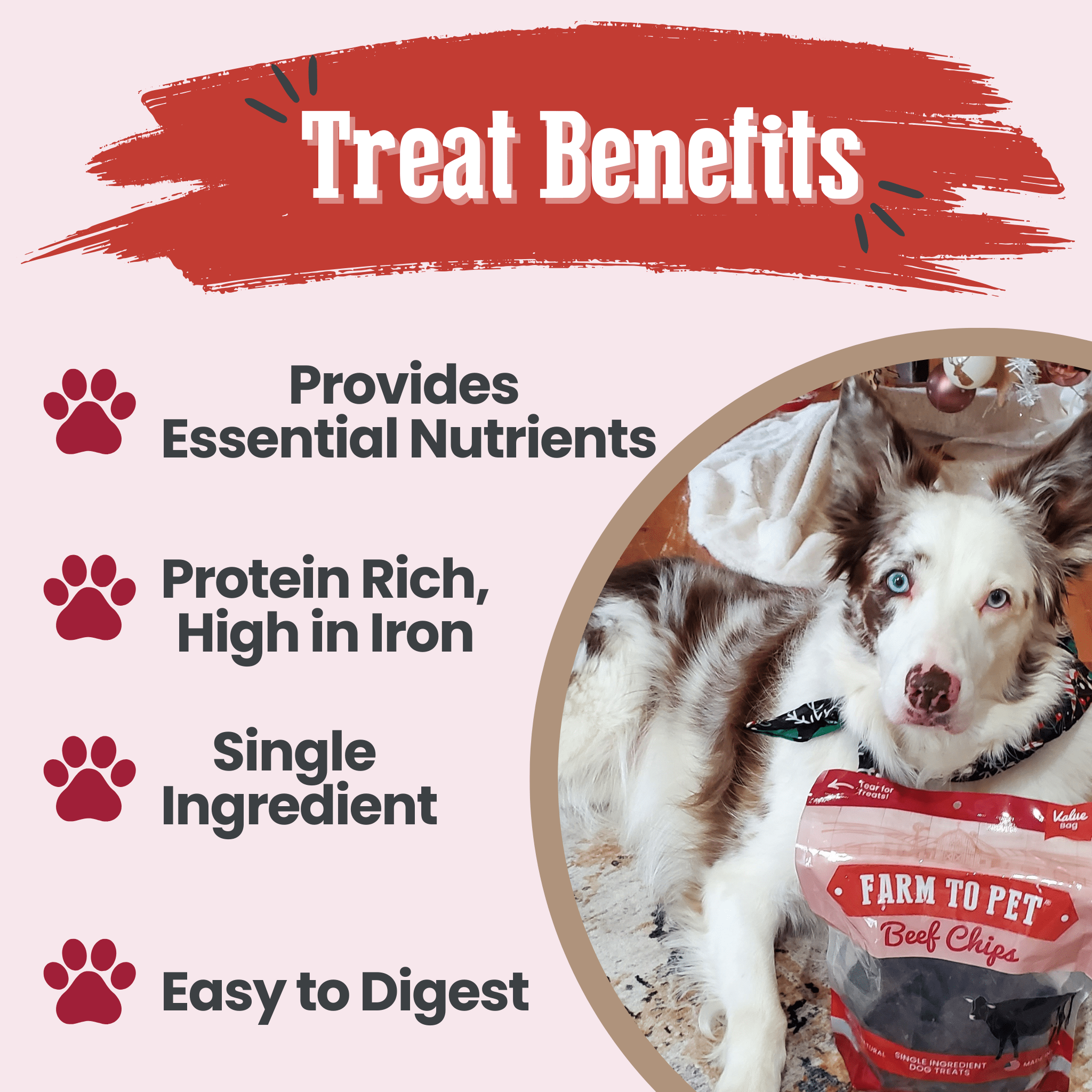Beef Chips Dog Treats Single-Ingredient Healthy Treats for Dogs