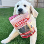 Beef Chips Dog Treats Single-Ingredient Healthy Treats for Dogs