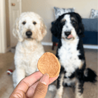 Chicken Chips for Dogs All-Natural Single-Ingredient Dog Treats