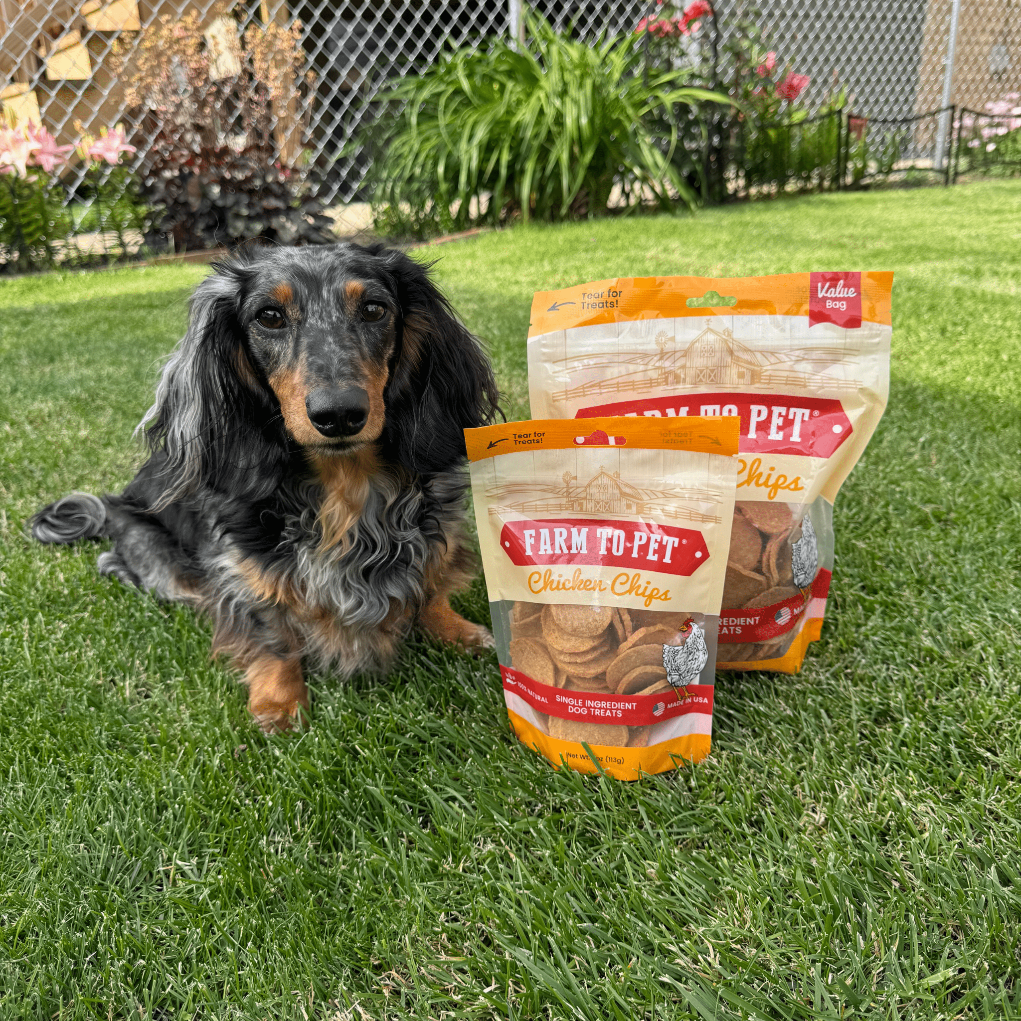 Chicken Chips for Dogs All-Natural Single-Ingredient Dog Treats