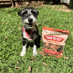 Turkey Chips for Dogs All-Natural Single-Ingredient Healthy Dog Treats