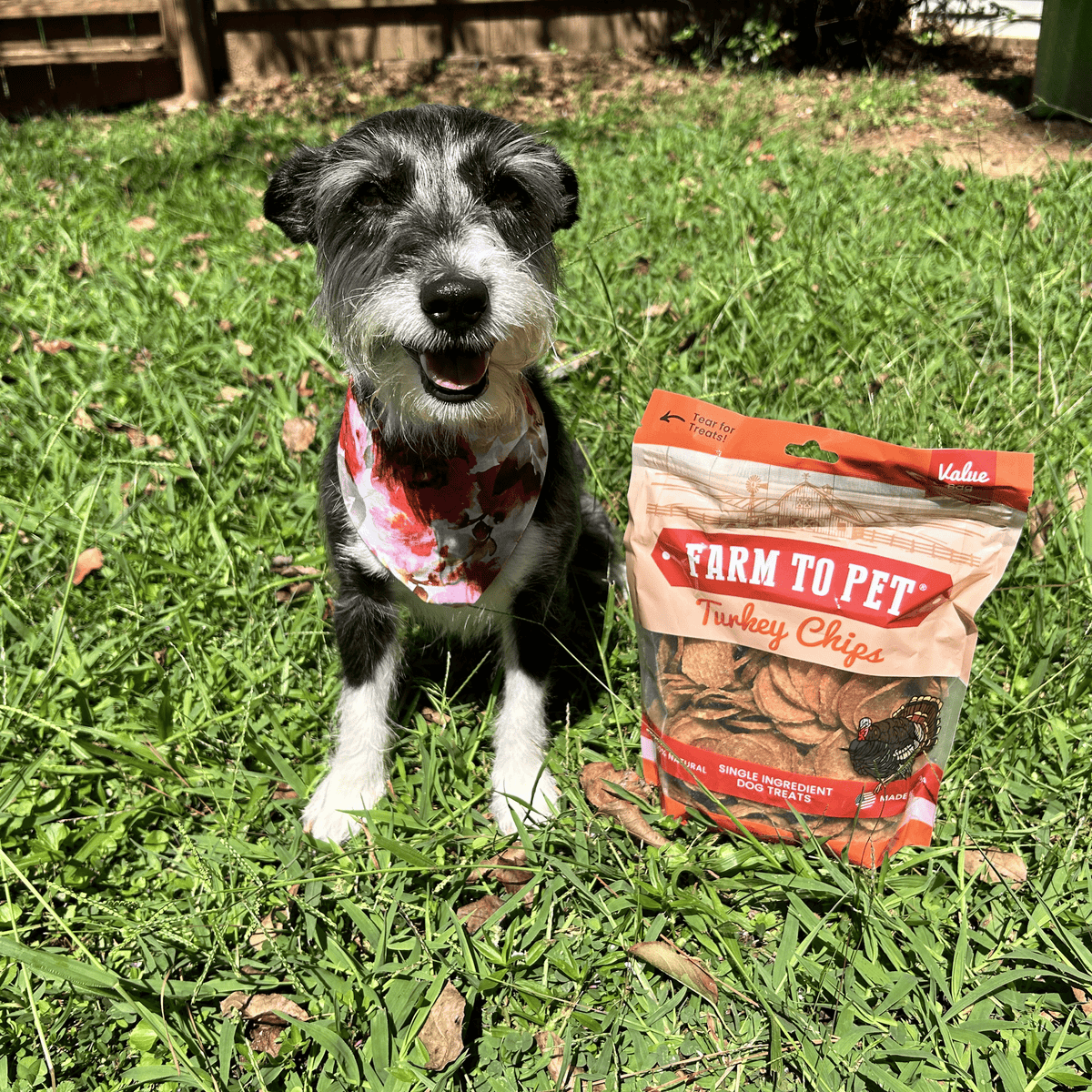 Turkey Chips for Dogs All-Natural Single-Ingredient Healthy Dog Treats