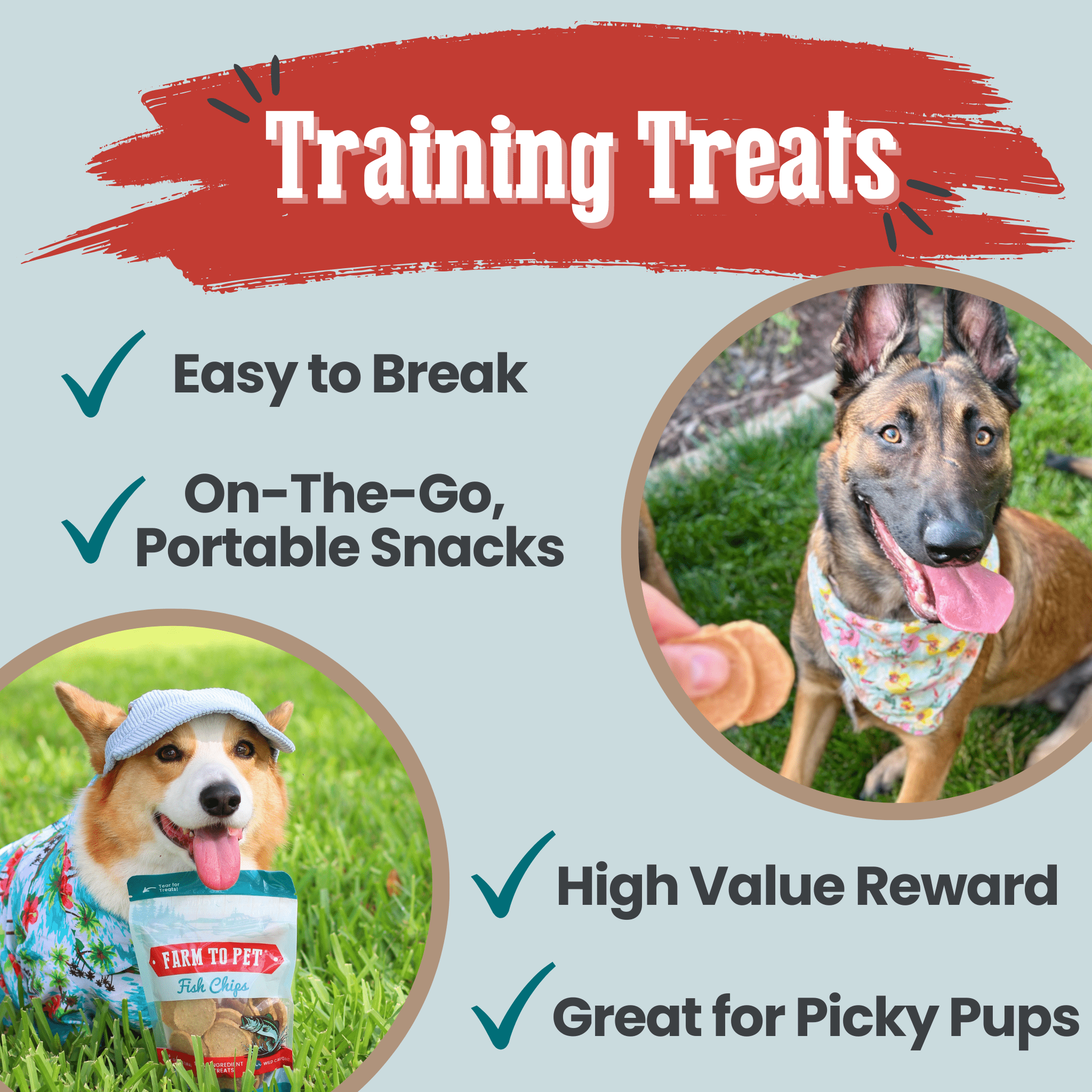 Fish Chips for Dogs Wild-Caught Fish Dog Treats