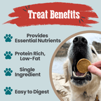 Fish Chips for Dogs Wild-Caught Fish Dog Treats