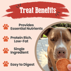 Turkey Chips for Dogs All-Natural Single-Ingredient Healthy Dog Treats