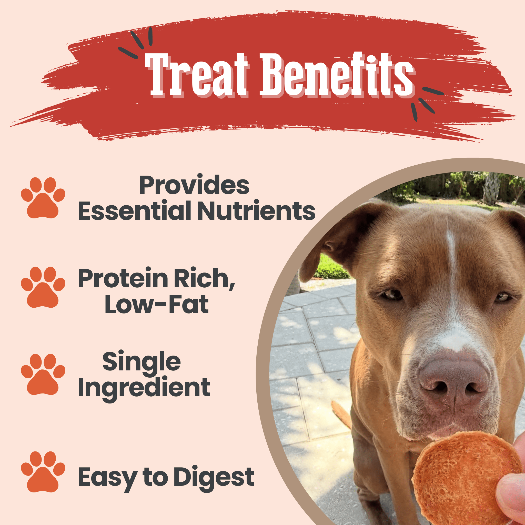 Turkey Chips for Dogs All-Natural Single-Ingredient Healthy Dog Treats