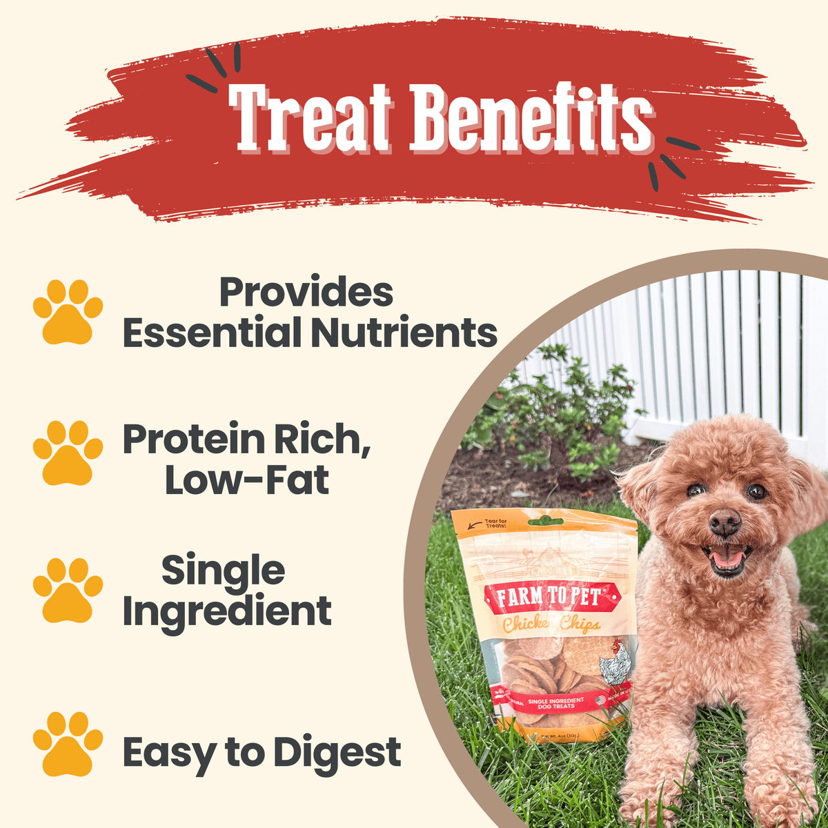 Chicken Chips for Dogs All-Natural Single-Ingredient Dog Treats