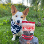 Beef Chips Dog Treats Single-Ingredient Healthy Treats for Dogs