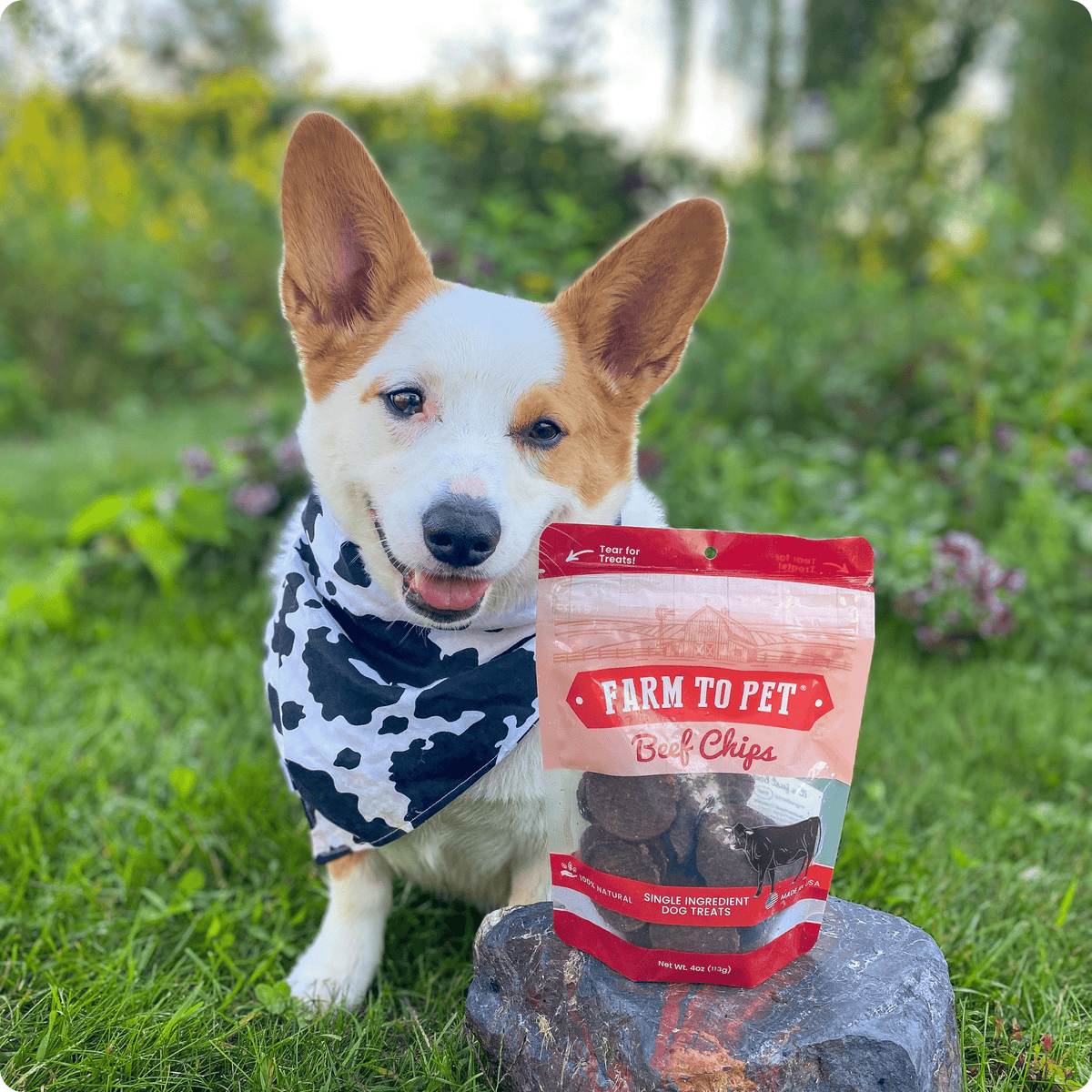 Beef Chips Dog Treats Single-Ingredient Healthy Treats for Dogs