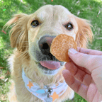 Chicken Chips for Dogs All-Natural Single-Ingredient Dog Treats