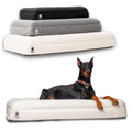 Orthopedic Dog Bed
