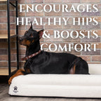 Orthopedic Dog Bed