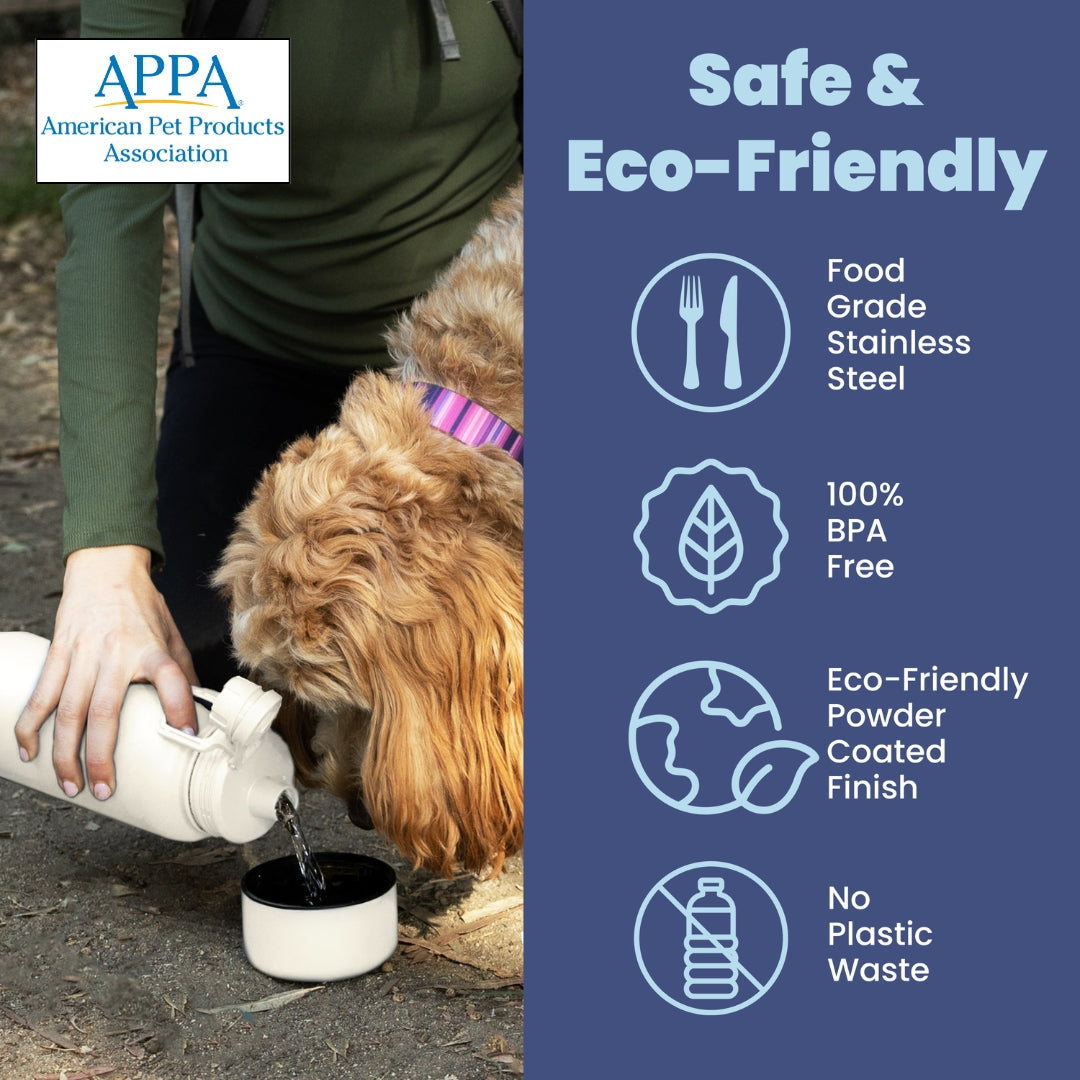 Dog + Owner Water Bottle with Detachable Dog Bowl