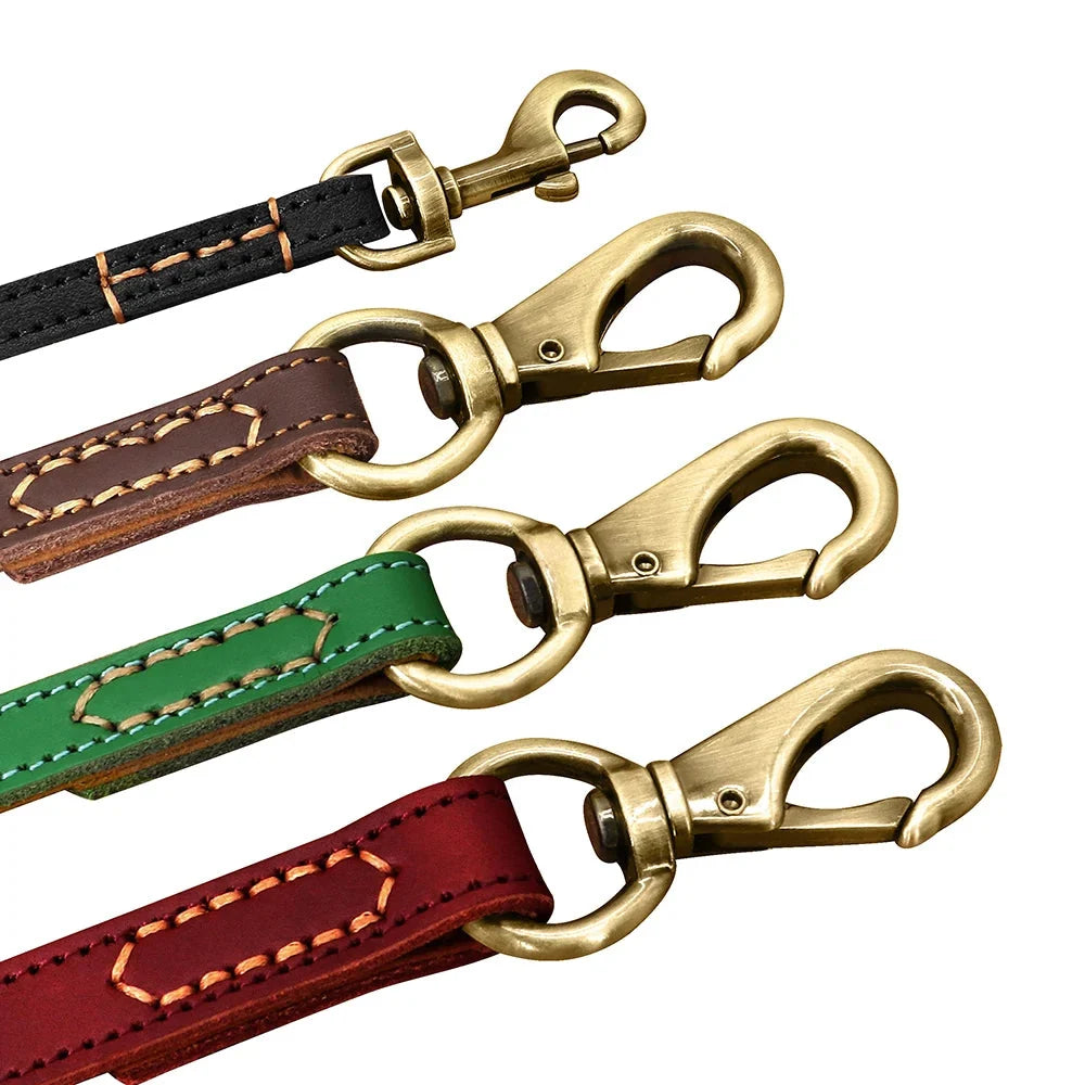 Classic Leather Lead