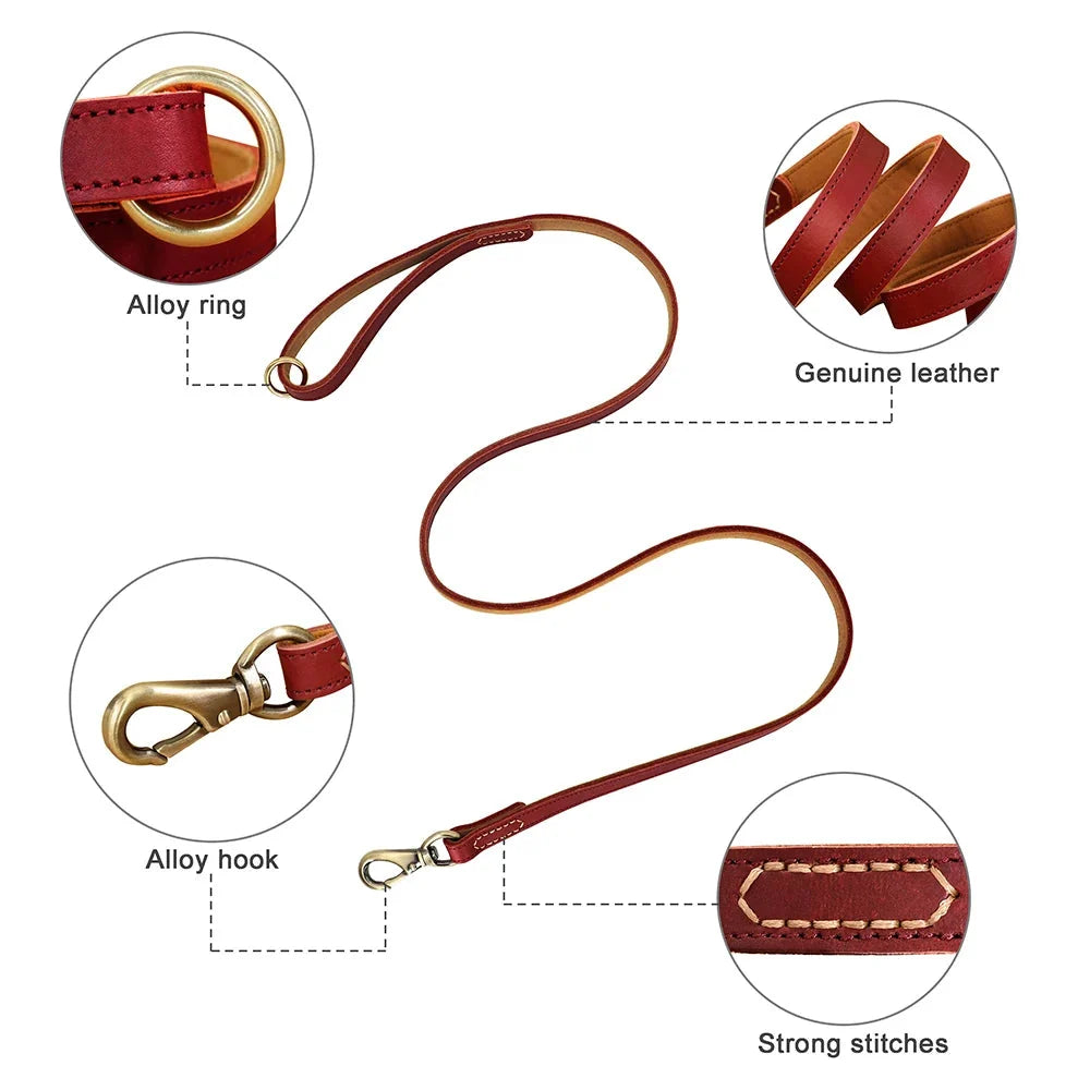 Classic Leather Lead
