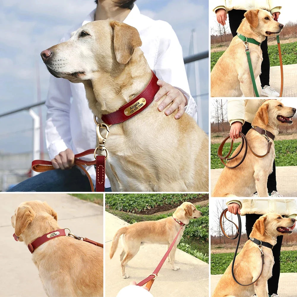 Classic Leather Lead