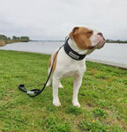 Tactical Leash