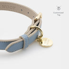 LEATHER DOG COLLAR - AIR TAG HOLDER