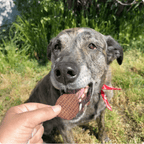 Beef Chips Dog Treats Single-Ingredient Healthy Treats for Dogs