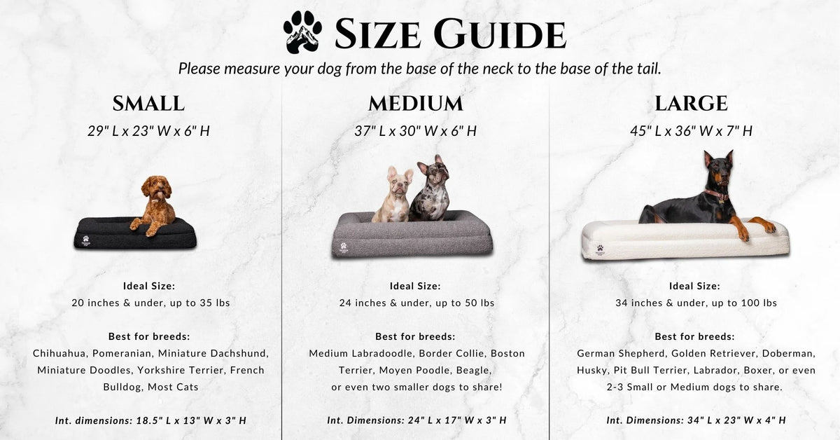 Orthopedic Dog Bed